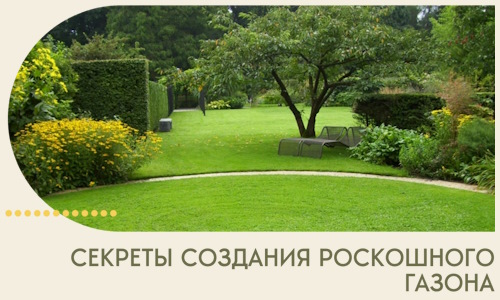 Секреты создания роскошного газона в Зеленодольске